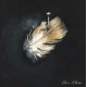 IT CAME FROM BENEATH-CLAIR OBSCUR -DIGI- (CD)