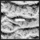 SONO-HUMAN (LP)