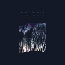ENSEMBLE ECONOMIQUE-RADIATE THROUGH YOU (LP)