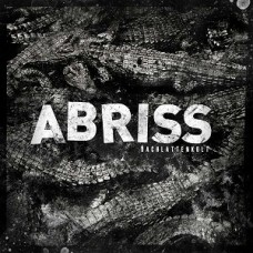 ABRISS-DACHLATTENKULT (LP)