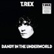 T. REX-DANDY IN THE.. -COLOURED- (2LP)