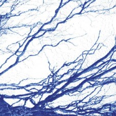 BONY KING OF NOWHERE-SILENT DAYS (LP)