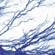 BONY KING OF NOWHERE-SILENT DAYS (LP)