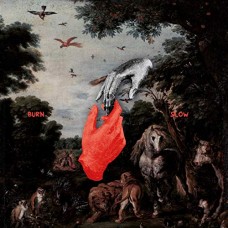 CHRIS LIEBING-BURN SLOW (CD)