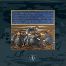 OPERA MULTI STEEL-STELLA OBSCURA (LP)