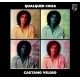 CAETANO VELOSO-QUALQUIER COISA (CD)