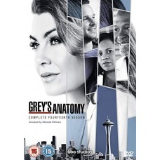 SÉRIES TV-GREY'S ANATOMY S14 (6DVD)
