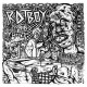 RAT BOY-INTERNATIONALLY UNKNOWN (LP)
