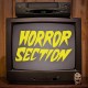 HORROR SECTION-HORROR SECTION (LP)