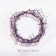CASTING CROWNS-ONLY JESUS (CD)