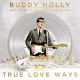BUDDY HOLLY-BUDDY HOLLY STRINGS (LP)