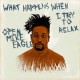 OPEN MIKE EAGLE-WHAT HAPPENS WHEN I TRY.. (CD)