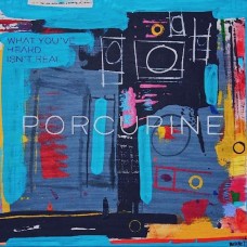 PORCUPINE-WHAT YOU'VE HEARD ISN'T.. (CD)