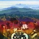 ACE OF CUPS-ACE OF CUPS -DELUXE- (2LP)