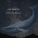 JON BROOKS-NO ONE TRAVELS ALONE (LP)
