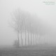 MARISA ANDERSON-CLOUD CORNER -COLOURED- (LP)