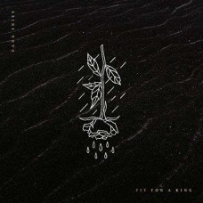 FIT FOR A KING-DARK SKIES (CD)