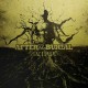 AFTER THE BURIAL-RAREFORM -COLOURED- (LP)