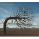 BIFFY CLYRO-OPPOSITES (2CD+DVD)