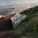 FIDLAR-ALMOST FREE -DOWNLOAD- (LP)