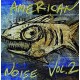 V/A-AMERICAN NOISE VOL. 2 (LP)
