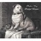 PAVLOV'S DOG-PRODIGAL DREAMER -DIGI- (CD)