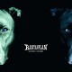 RANTANPLAN-STAY RUDEL -.. -DIGI- (CD)