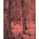 WOLFGANG VOIGT-WOLFGANG VOIGT-GAS (CD)