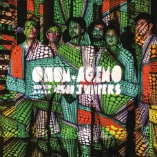 ONOM/AGEMO & DISCO JUMPERS-MAGIC POLAROID (LP)