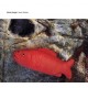 MALKA SPIGEL-ROSH BALLATA (LP)