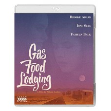 FILME-GAS FOOD LODGING (BLU-RAY)
