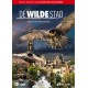 DOCUMENTÁRIO-DE WILDE STAD (DVD)