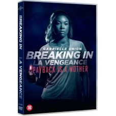 FILME-BREAKING IN (DVD)