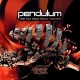 PENDULUM-HOLD YOUR COLOUR (12")