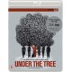 FILME-UNDER THE TREE (BLU-RAY+DVD)