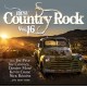 V/A-NEW COUNTRY ROCK VOL.16 (CD)