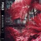 FOALS-EVERYTHING NOT SAVED.. (CD)