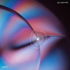 GUY SIGSWORTH-STET (CD)