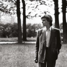 DAVID SYLVIAN-BRILLIANT TREES (CD)