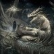 CONTRARIAN-THEIR WORM NEVER DIES (CD)