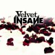 VELVET INSANE-VELVET INSANE (CD)