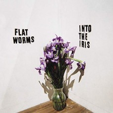 FLAT WORMS-INTO THE IRIS (CD-S)