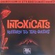 INTOXICATS-RETURN TO.. -COLOURED- (7")