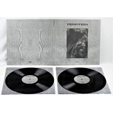 PAYSAGE D'HIVER-STEINEICHE -HQ- (2LP)