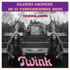 TWINK-10,000 WORDS IN A.. (7")