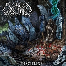 CALCINED-DISCIPLINE (CD)