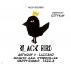 V/A-BIG SLAP & BLACK BIRD.. (CD)