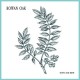 ROWAN OAK-HOPE & RUIN -EP/LTD- (LP)