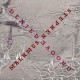 STEPHEN MALKMUS-GROOVE DENIED -DOWNLOAD- (LP)