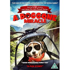 FILME-DOGGONE MIRACLE (DVD)